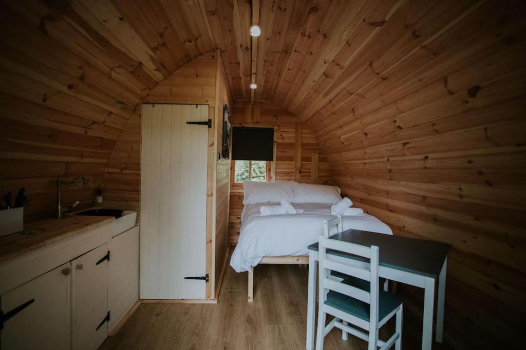Ash Winter Retreat- Hot Tub & Log Bruner Barmouth Exterior photo